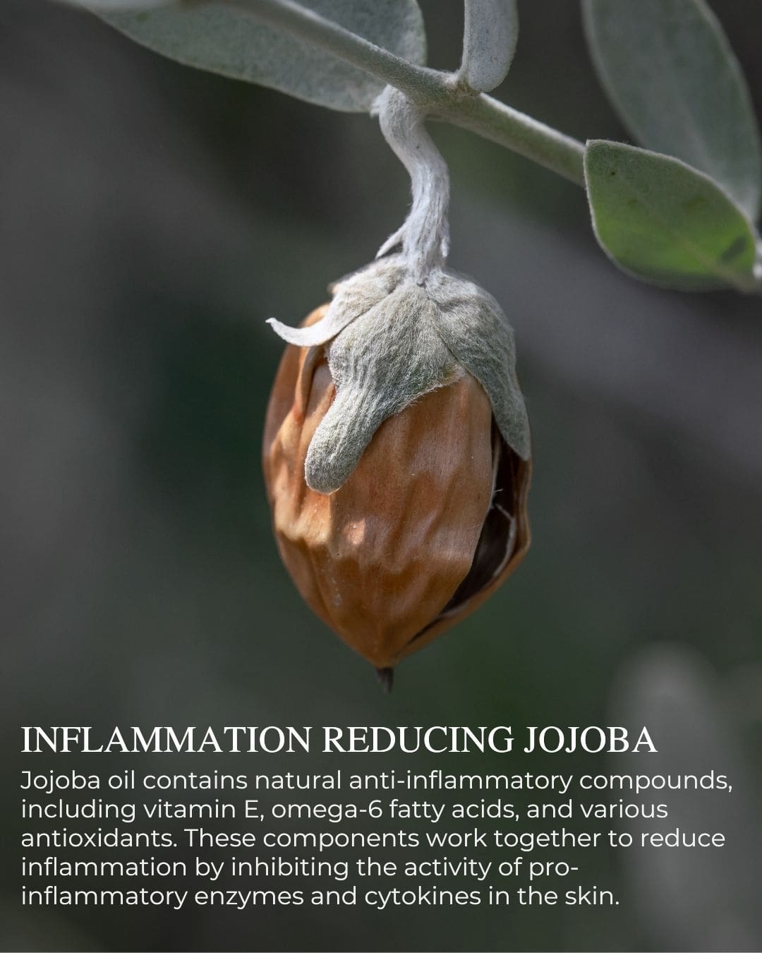 SOFT COMPLEXION™ Ultimate Recovering Night Cream with hydrating oils and antioxidants